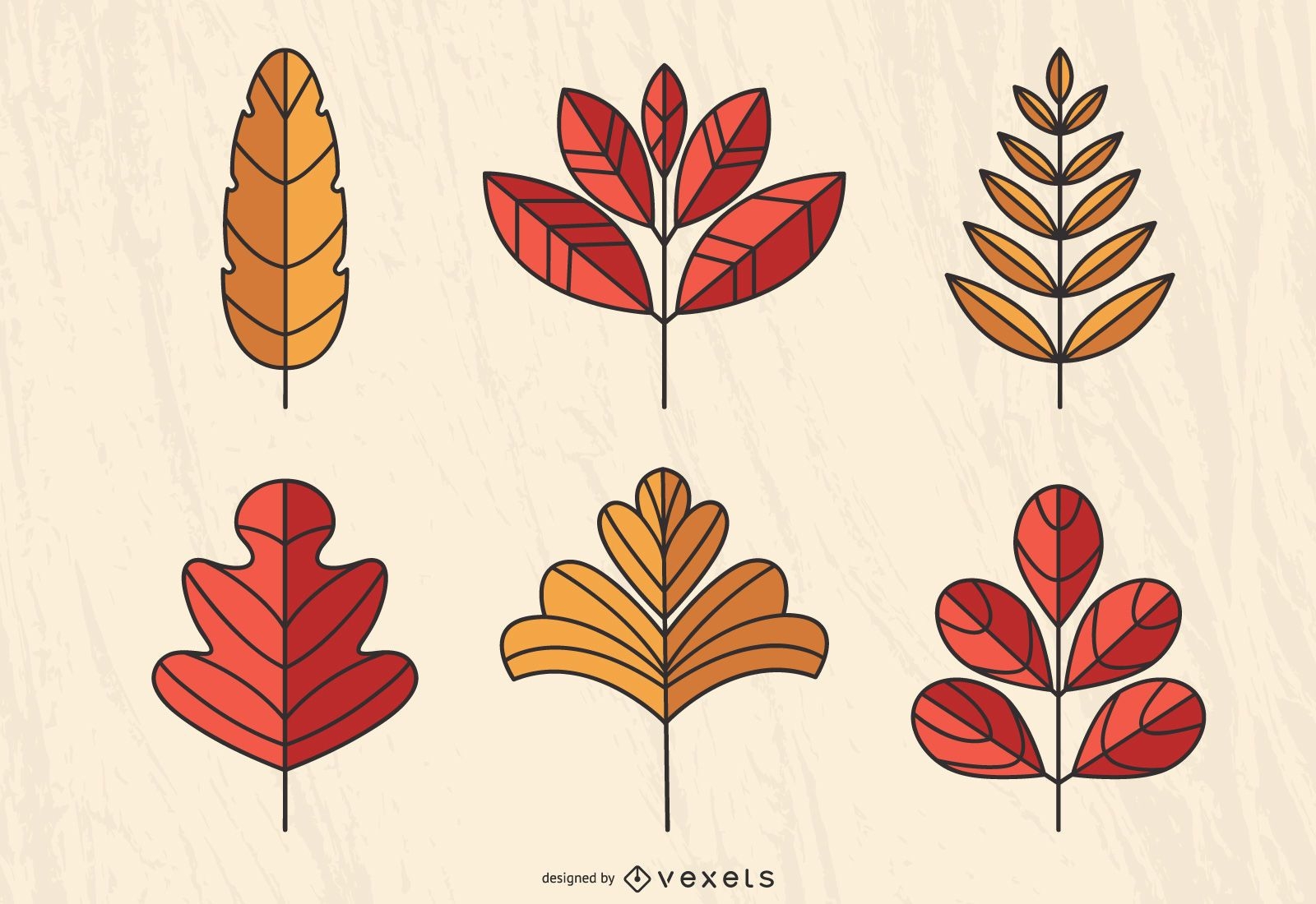autumn leaves illustration set