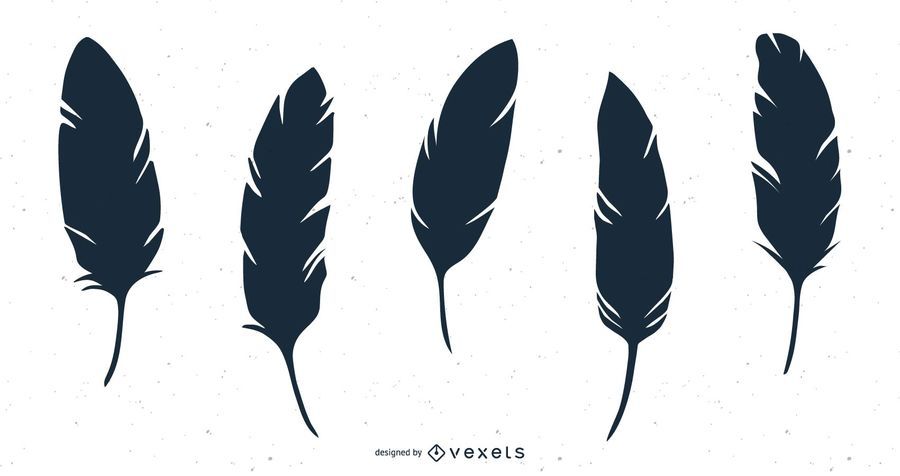 Isolated feather illustration set Isolated feather illustration set
