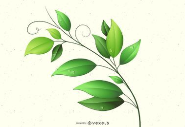 Ilustración de hojas verdes aisladas