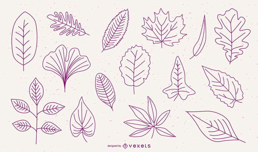 Vector Leaves Vector Leaves