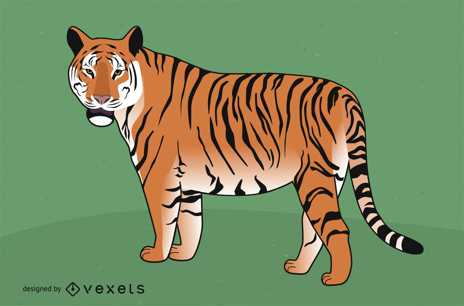 Tiger Image 03 Vector