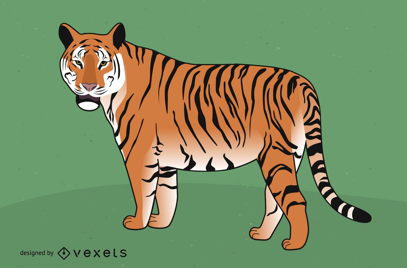Vector de imagen de tigre 03