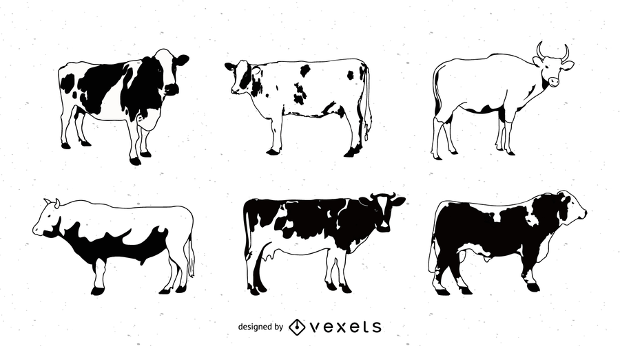 Serie de imágenes en blanco y negro de un vector de vector de vaca pintada Serie de imágenes en blanco y negro de un vector de vector de vaca pintada