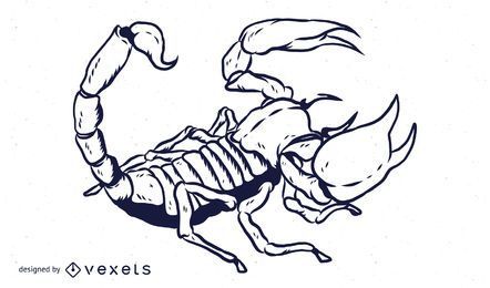 Diseño de contorno dibujado a mano de escorpión