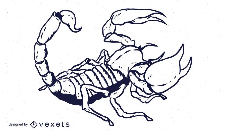 Imagen de vector de escorpión Imagen de vector de escorpión
