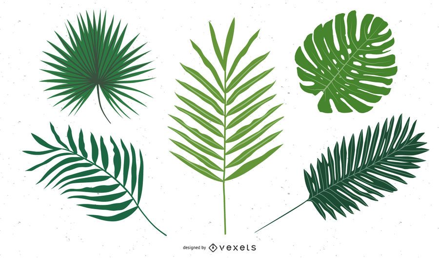 Jungle Plants Jungle Plants