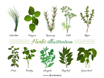 Herbal Leaves 01 Vector Vector Download