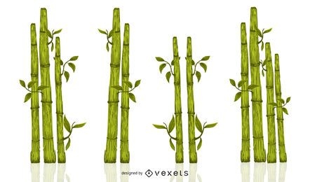 Green bamboo illustration set