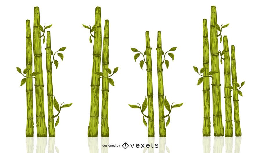 Green bamboo illustration set Green bamboo illustration set