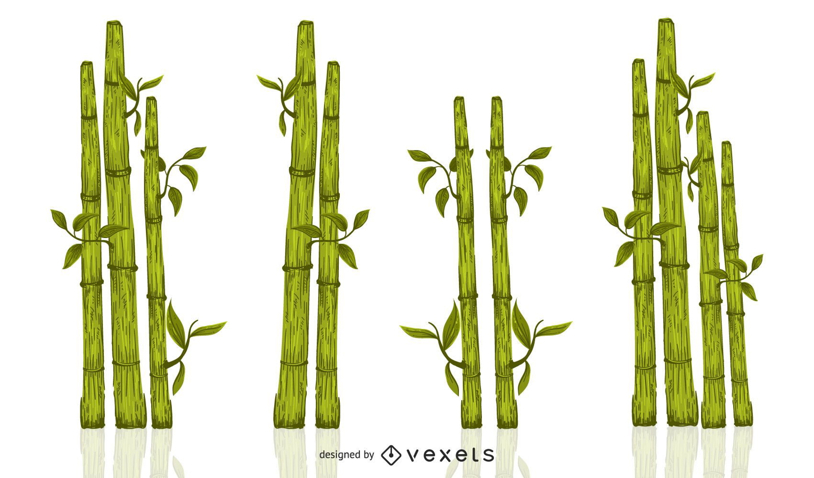 Conjunto de ilustração de bambu verde