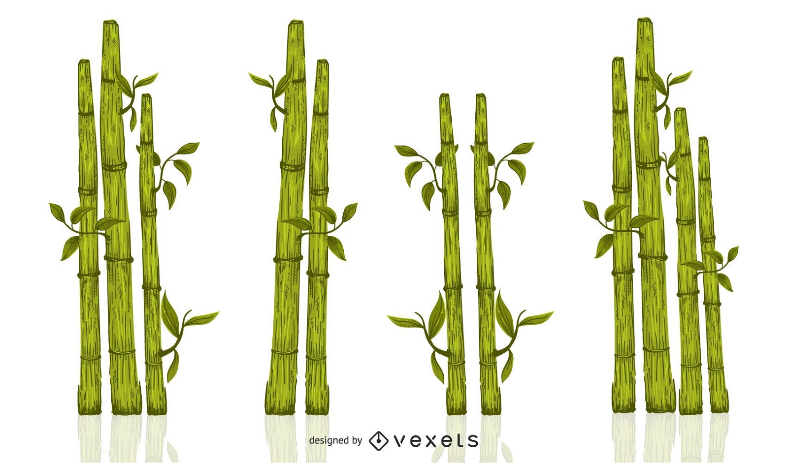 Grünes Bambusillustrationsset
