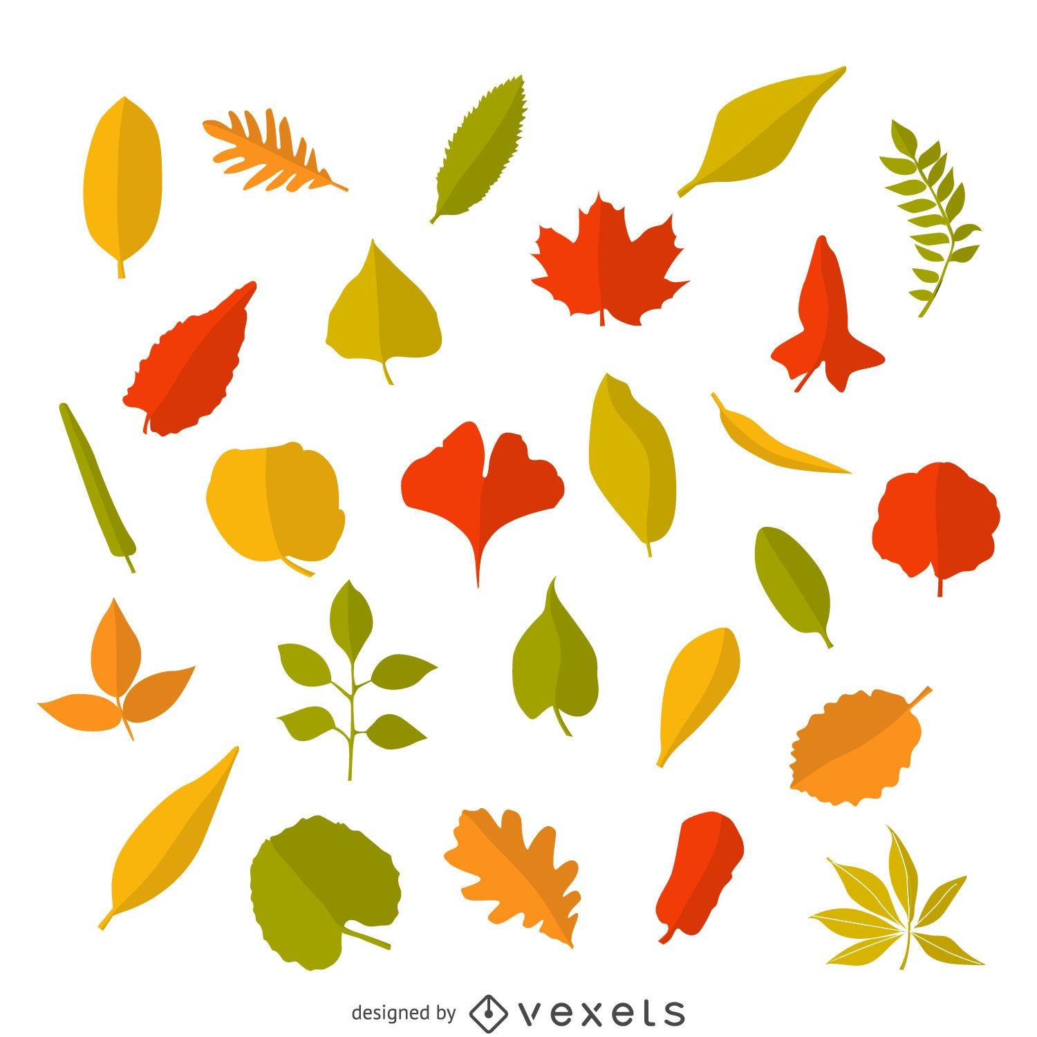 free download fall leaves illustration vector