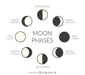 Illustrated moon phases