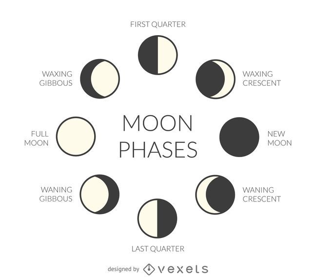 Fases lunares ilustradas Fases lunares ilustradas
