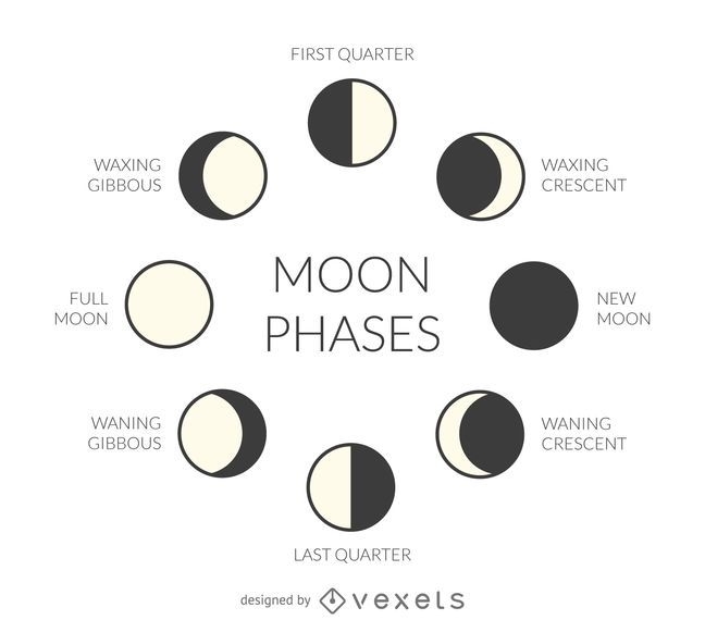 Illustrated Moon Phases - Vector Download