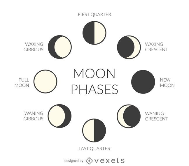 Moon Phases And Labels