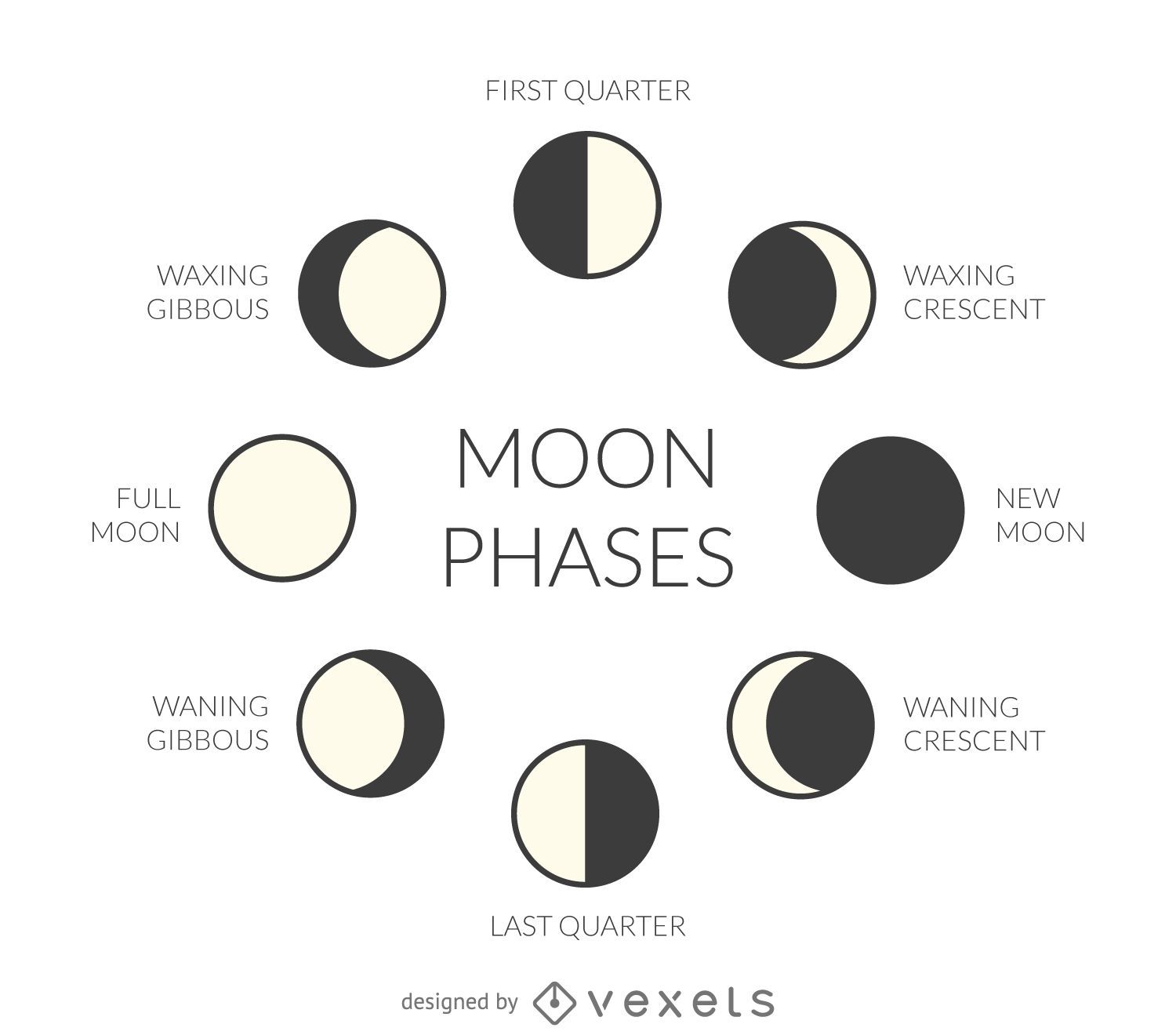 Illustrated moon phases - Vector download