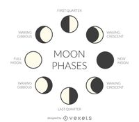 Illustrated Moon Phases Vector Download