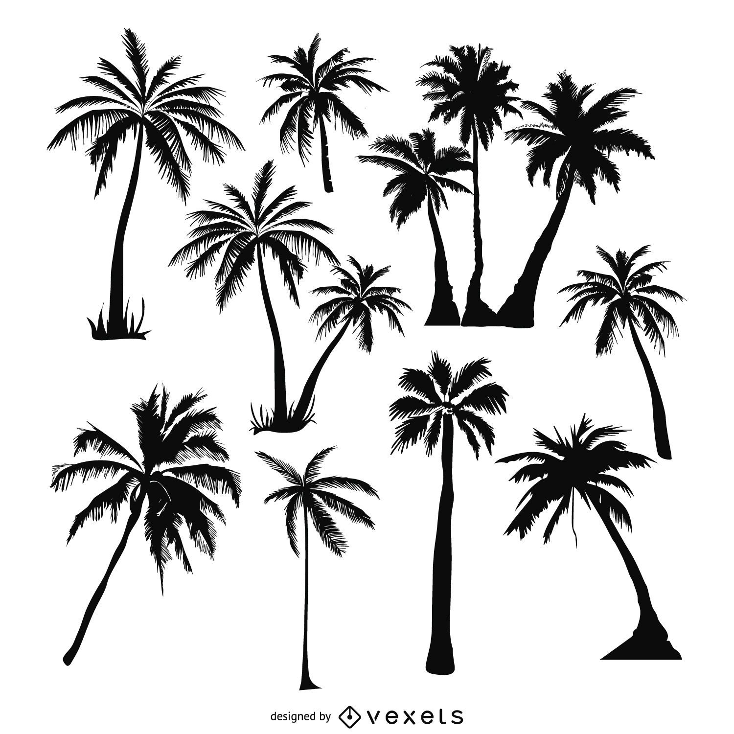 Conjunto de silhuetas de palmeiras