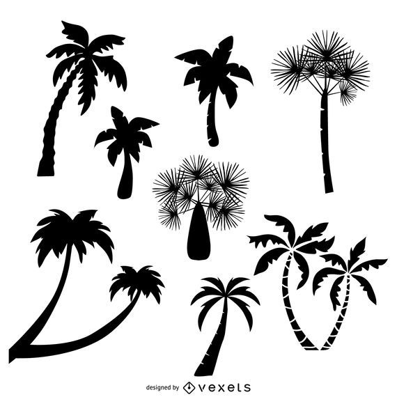 Collection of palm trees silhouettes Collection of palm trees silhouettes