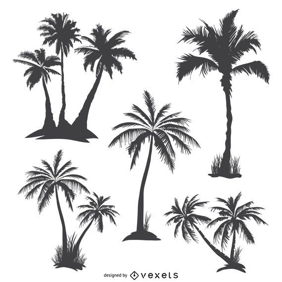 Monochrome palm trees silhouettes Monochrome palm trees silhouettes