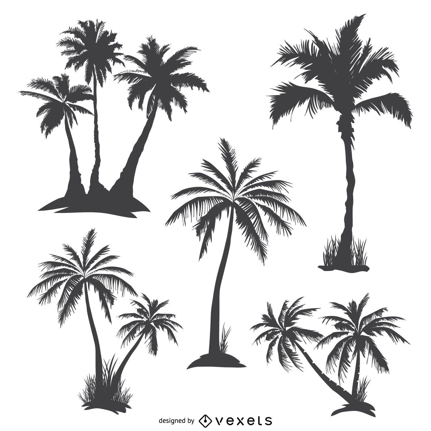 Monochrome Palmenschattenbilder
