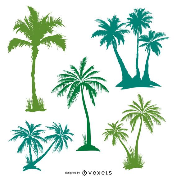 Green Palm Trees Set - Vector Download