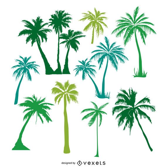 Siluetas de palmeras verdes. Siluetas de palmeras verdes.