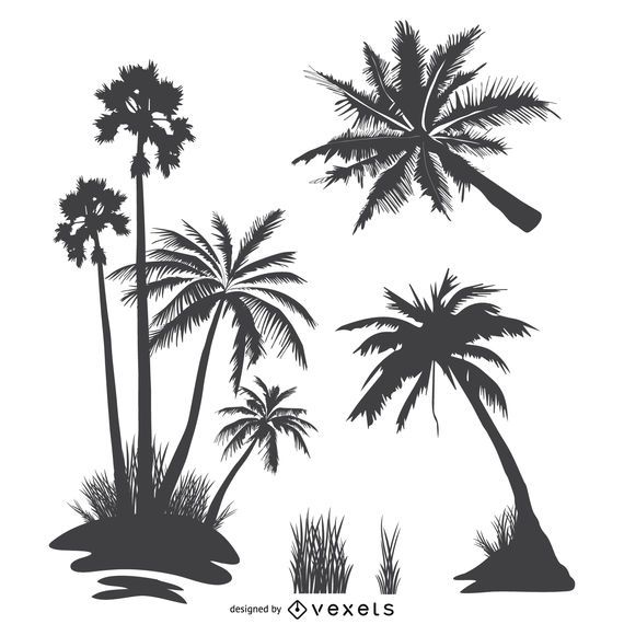 Palm trees silhouette collection Palm trees silhouette collection