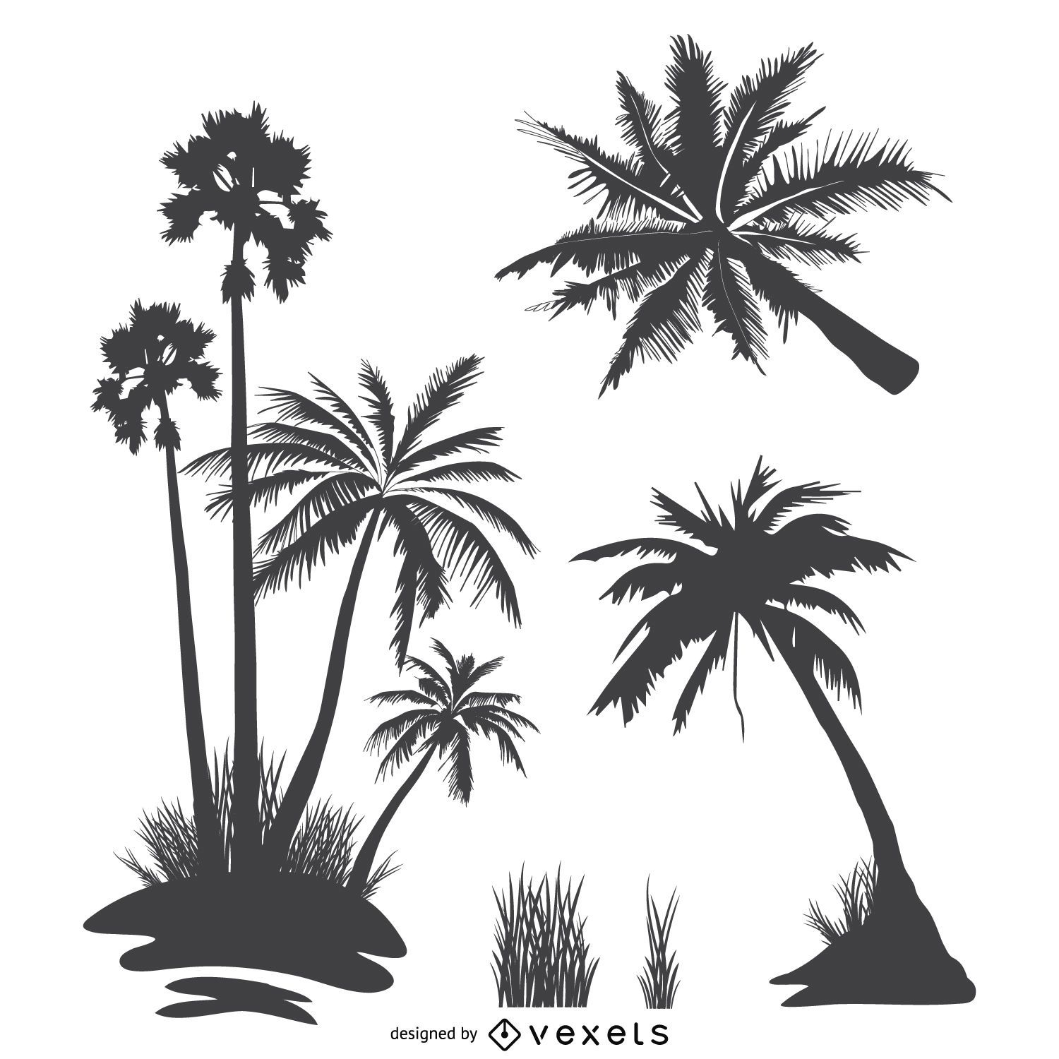 Palm trees silhouette collection