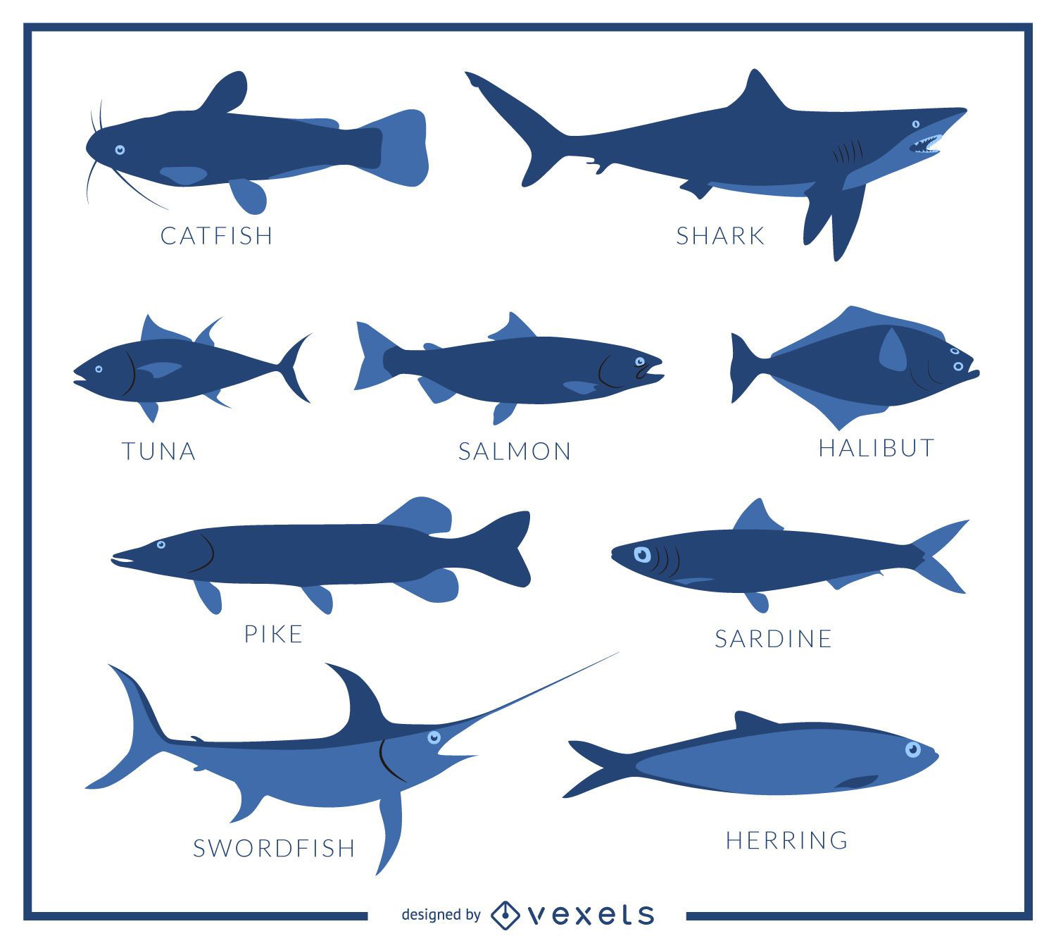 Abbildung der Fischarten