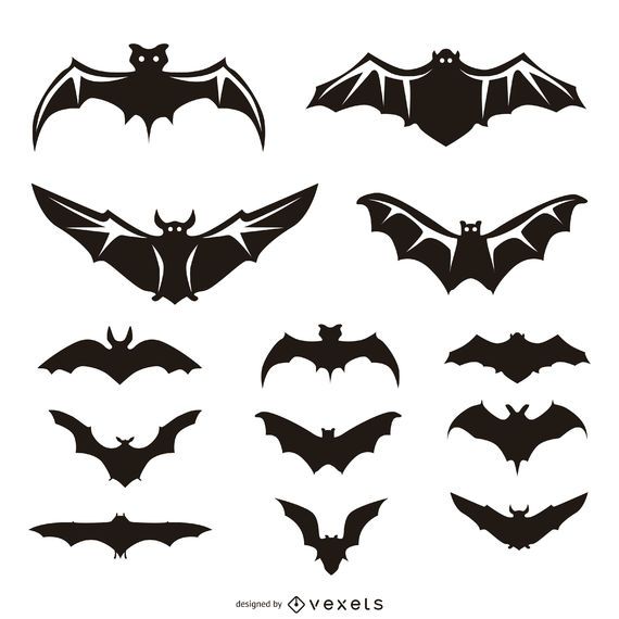 13 Fledermaus-Illustrationen und Silhouetten 13 Fledermaus-Illustrationen und Silhouetten
