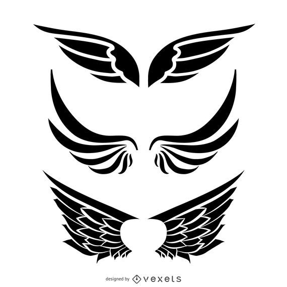 Isolated wing illustration set Isolated wing illustration set