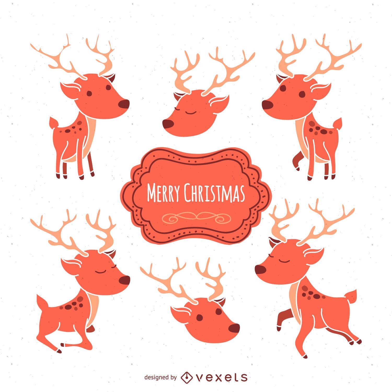 Conjunto de ilustración de ciervos de Navidad