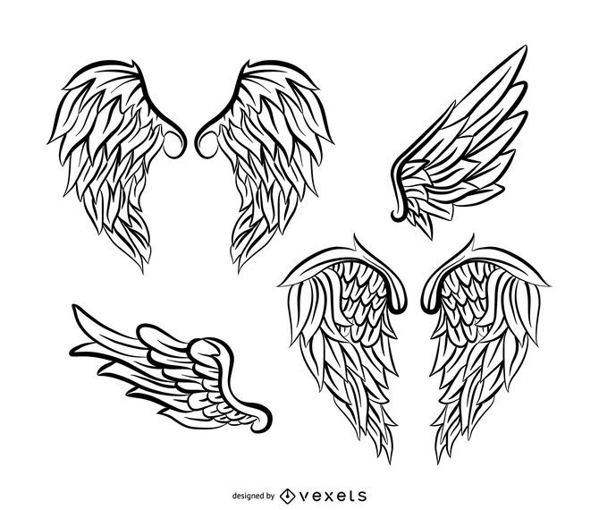 Pacote de ilustração de asas de anjo com penas Pacote de ilustração de asas de anjo com penas