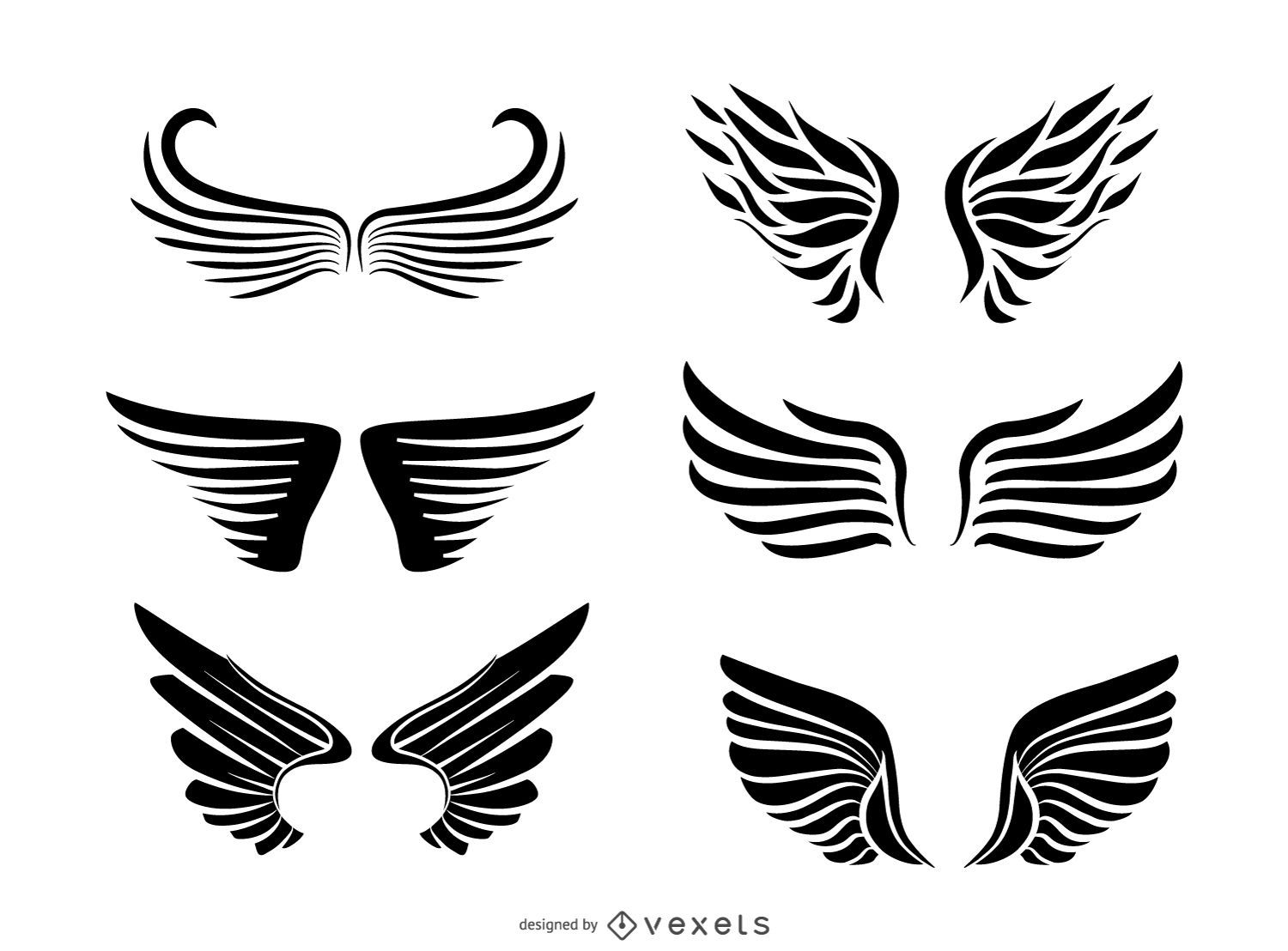 Isolated wing illustration collection