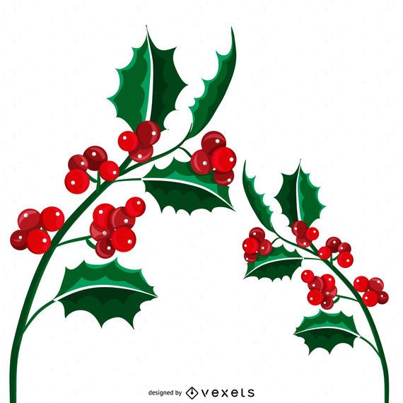Ilustración de muérdago de Navidad aislado Ilustración de muérdago de Navidad aislado