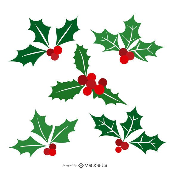Conjunto de muérdago navideño plano aislado 5 Conjunto de muérdago navideño plano aislado 5