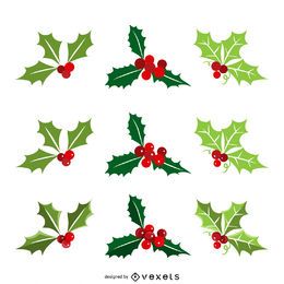 Coleção de visco de natal