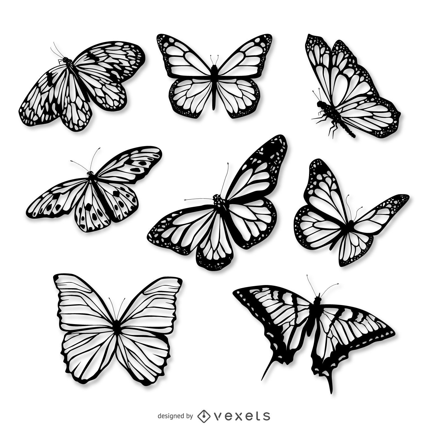 Realistic butterfly illustration set