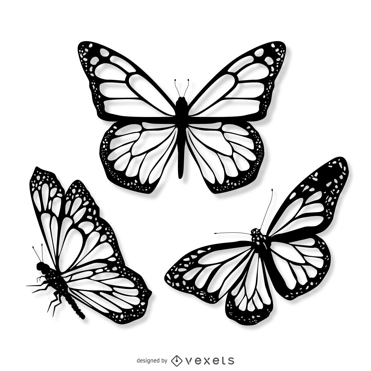 3 conjunto de ilustra??o realista de borboletas