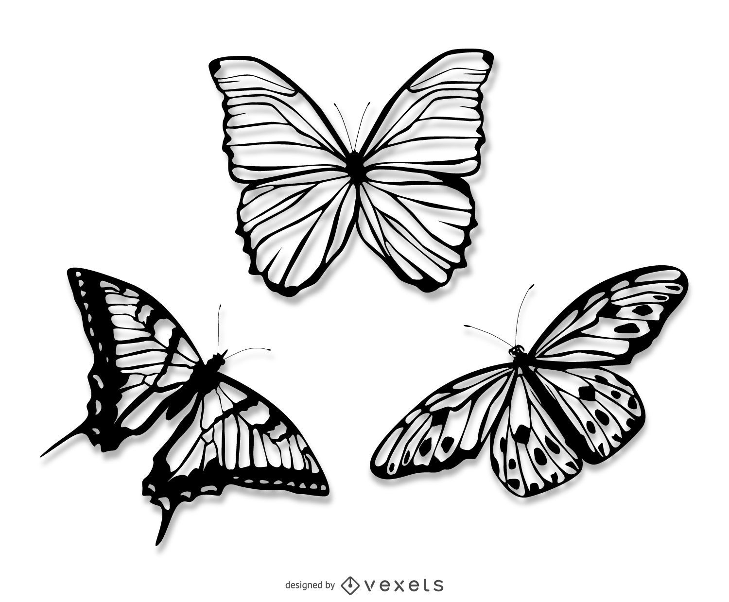 Realistische Schmetterlingsillustrationen