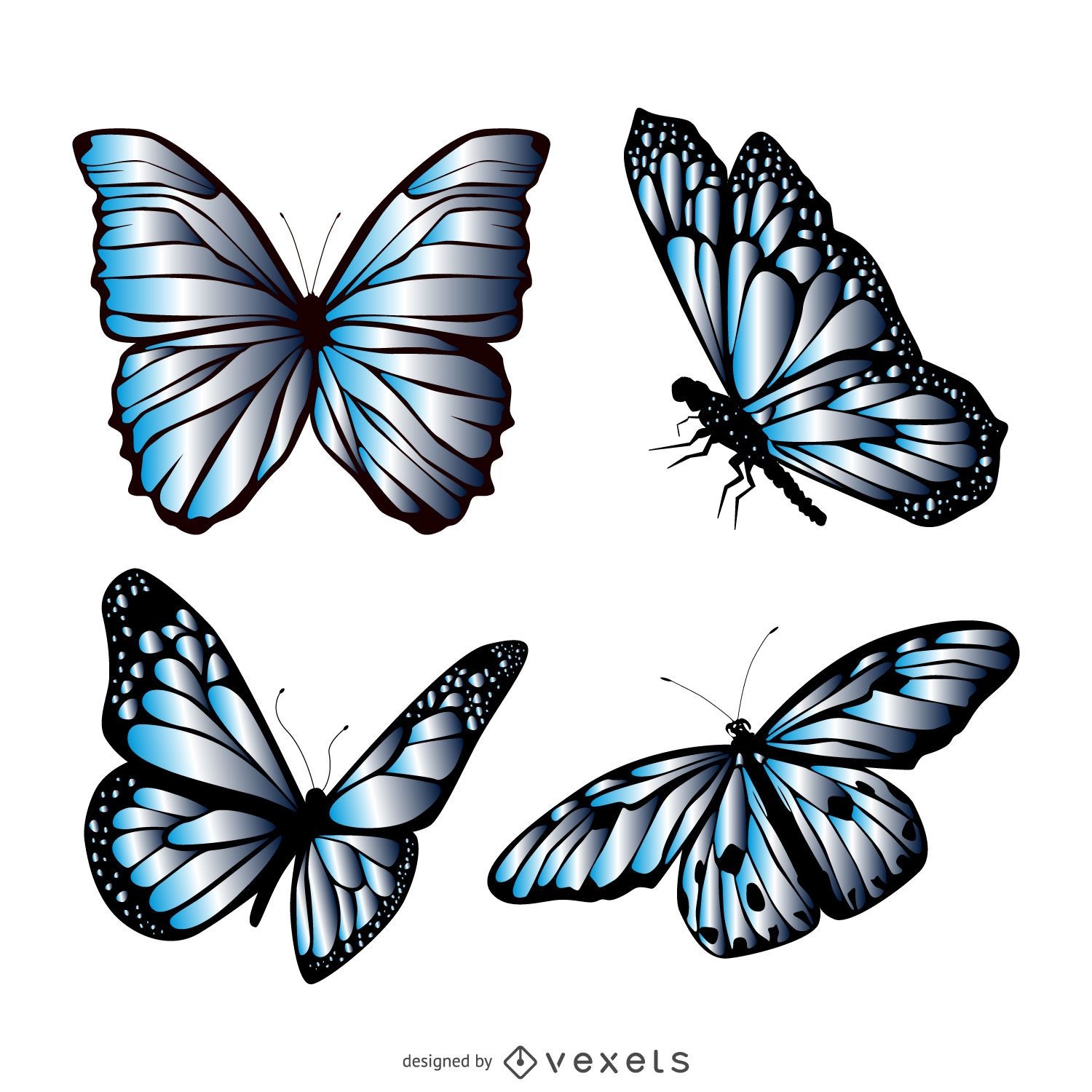 Blue butterfly illustration set