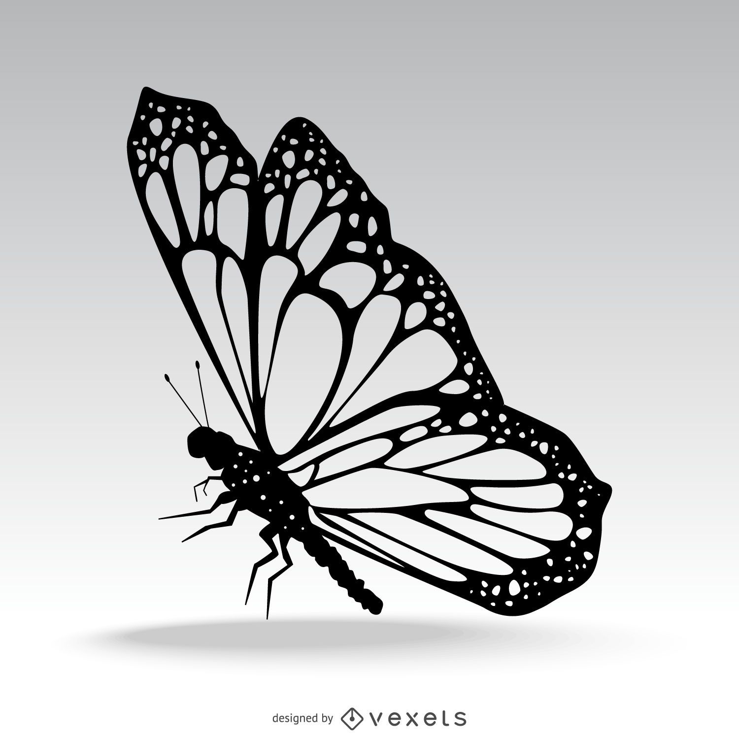 Isolated butterfly silhouette illustration