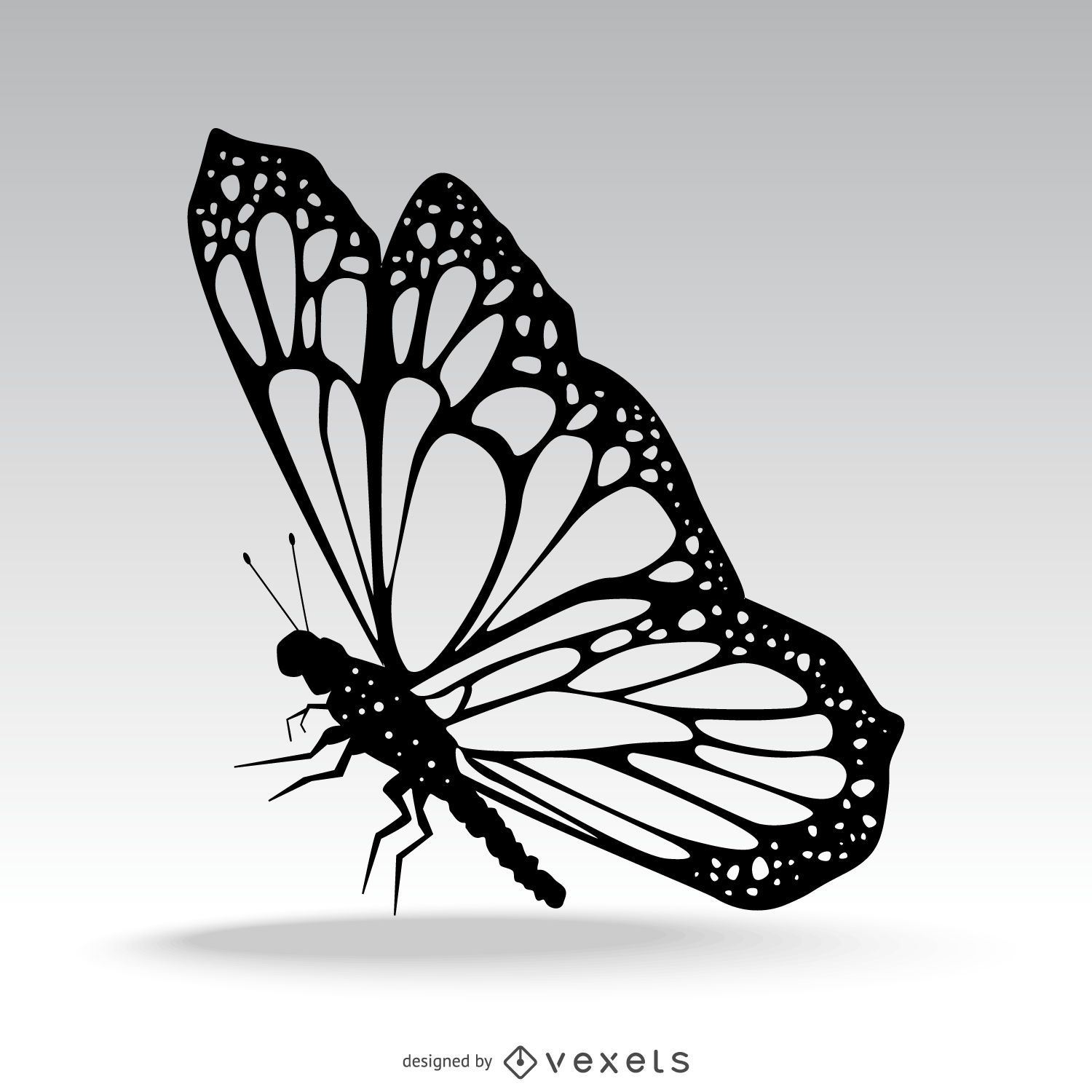Isolierte Schmetterlingsschattenbildillustration
