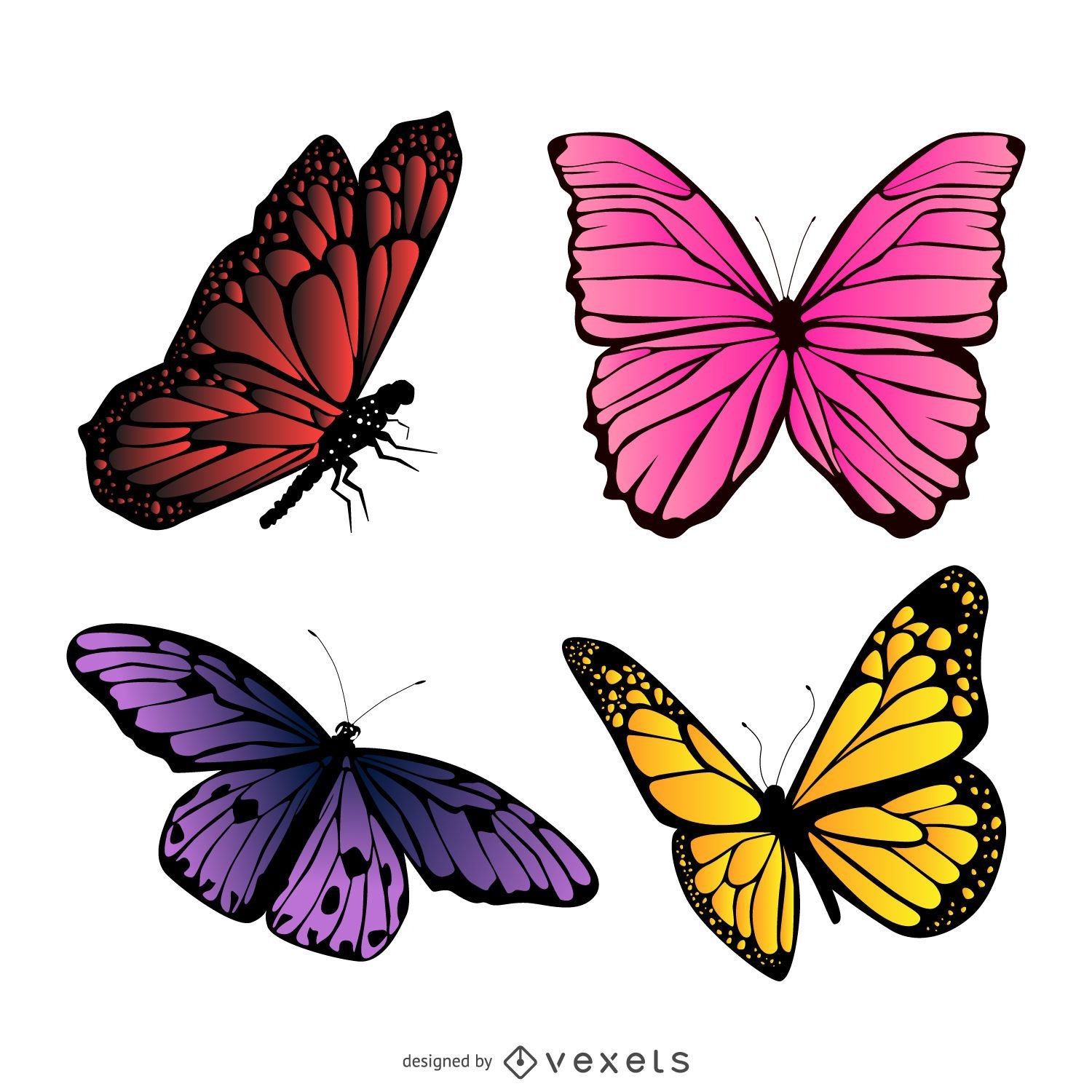 Colorful butterfly illustration set