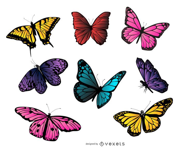 Colección colorida de la ilustración de la mariposa Colección colorida de la ilustración de la mariposa