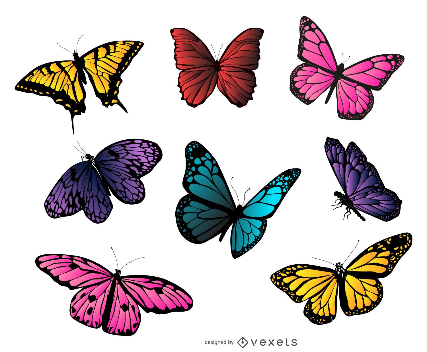 the butterfly downlid vector free illustration