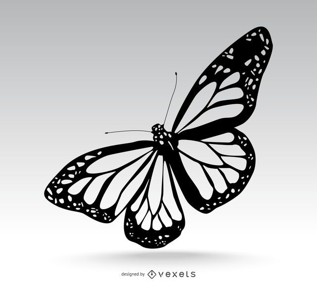 Ejemplo aislado de la mariposa Ejemplo aislado de la mariposa
