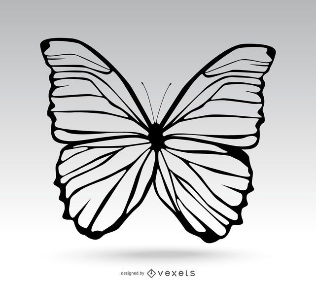 Ilustración mariposa simple Ilustración mariposa simple